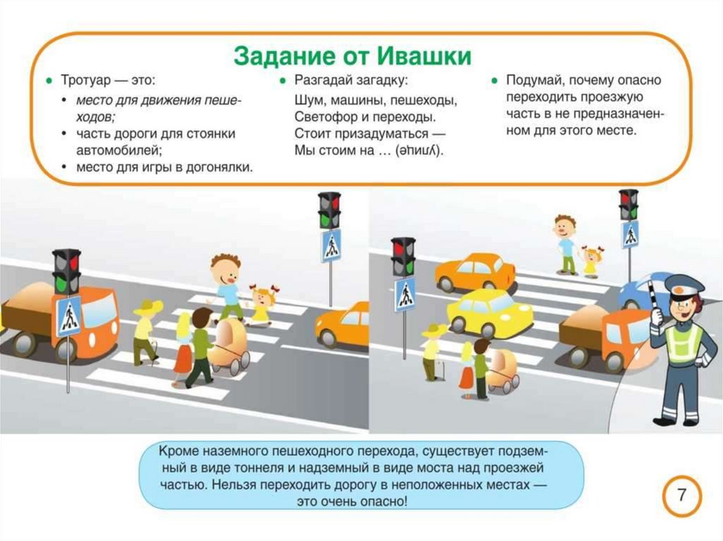 slide-6.jpg